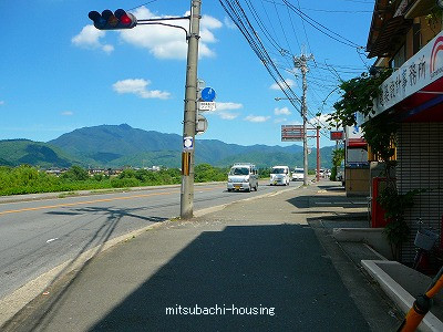 サンフラワー嵐山_画像3