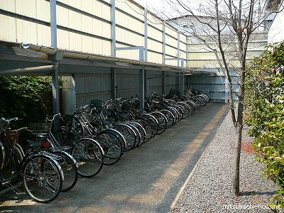 ピア花園_画像4