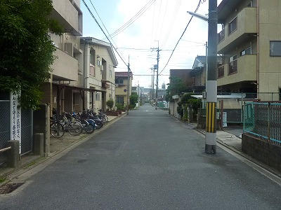 ビバシティー_画像5