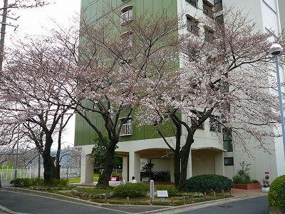 嵐山ロイアルハイツ１号棟_画像5